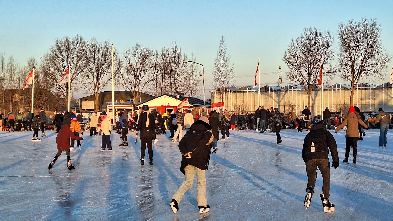 Een menigte schaatsers glijdt over de besproeide baan van De Lier in laag, gouden winterlicht, met vlaggen, een witte tent en kassen aan de overkant. – IJsvereniging Hard Gaat-ie (Piet Keijzerbaan)