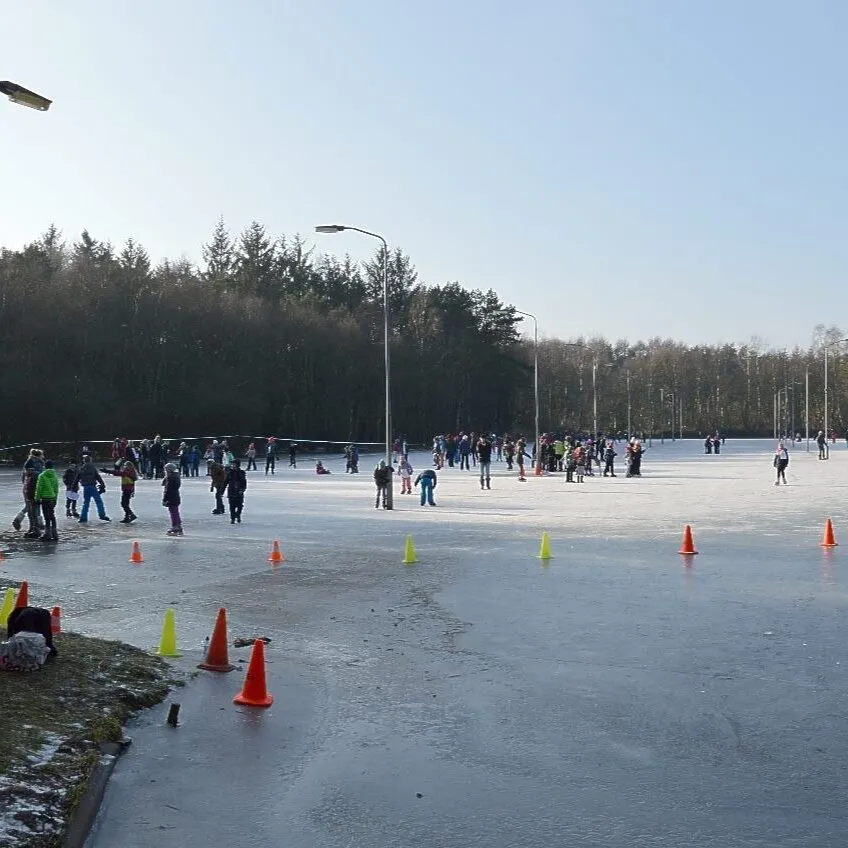 Skaters spread across the Molenveen ice on a bright day, with orange and yellow cones, floodlight masts and a dark line of pines behind. — IJsbaan Molenveen (Norg)