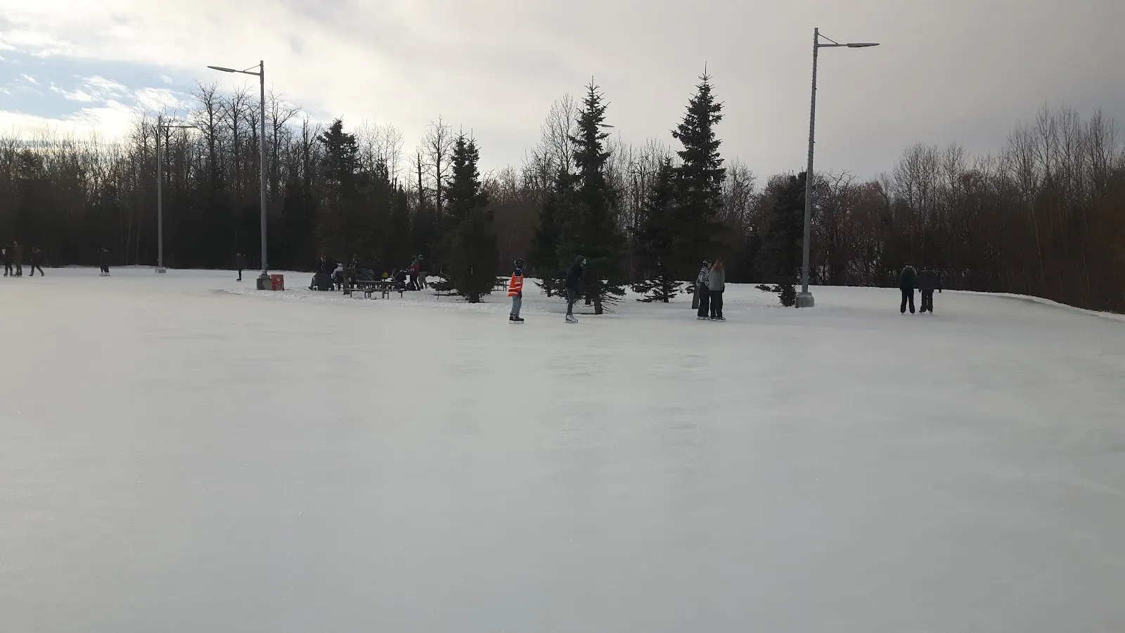 A wide sheet of smooth ice at Jackie Parker Park with skaters spread across it, floodlight poles and spruce trees behind — Jackie Parker Park Outdoor Ice Rink