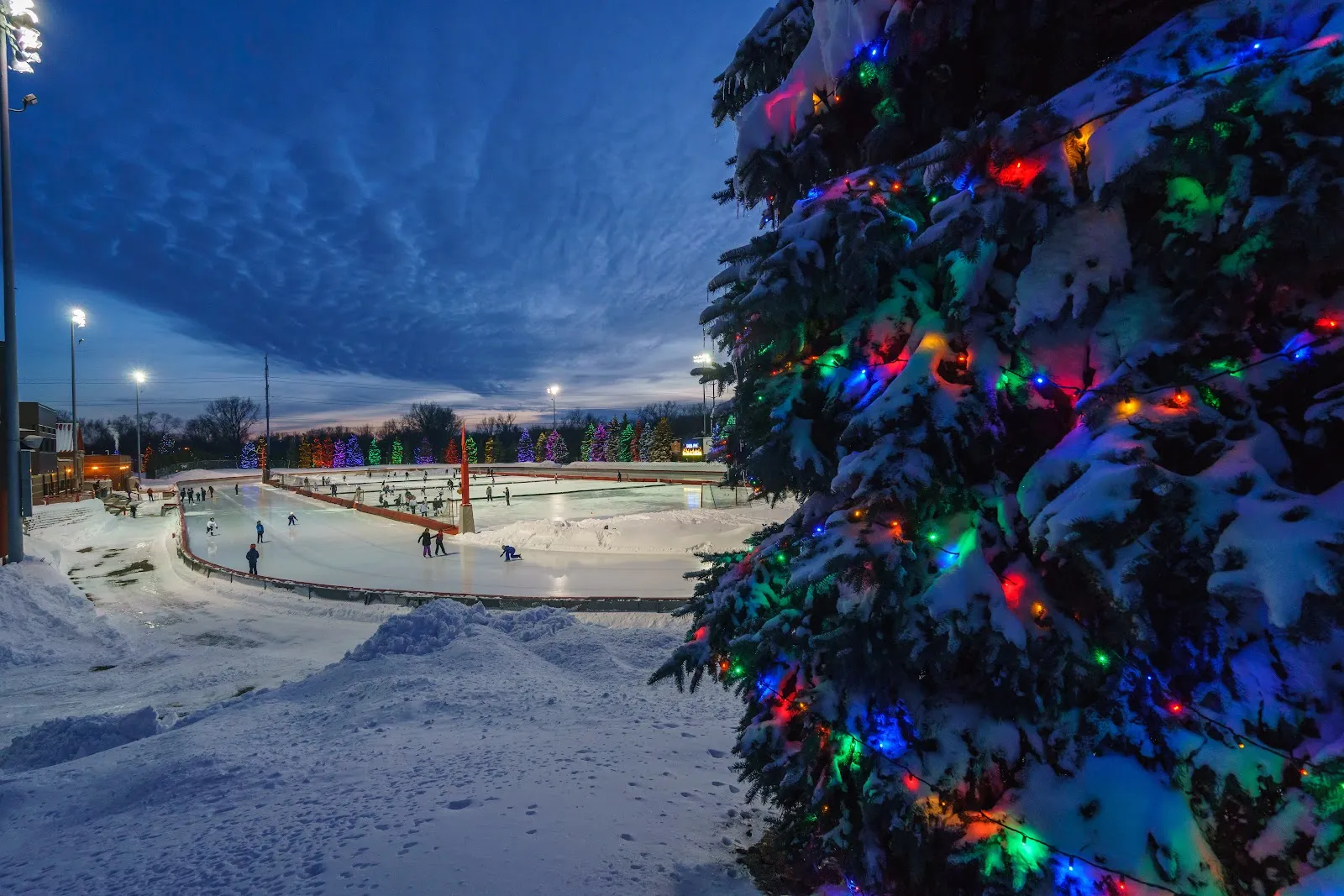 The lit OVAL ice at night with a decorated tree in the foreground (Google Maps listing photo) — John Rose MN OVAL