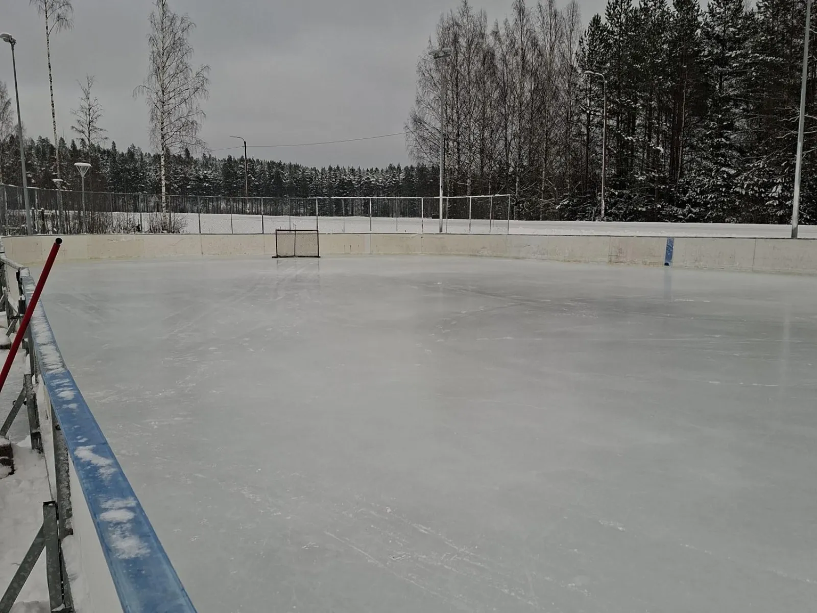 The boarded ice rink at Käärmelahti with goals at each end, lamp posts and forest behind. — Käärmelahden koulun kaukalo