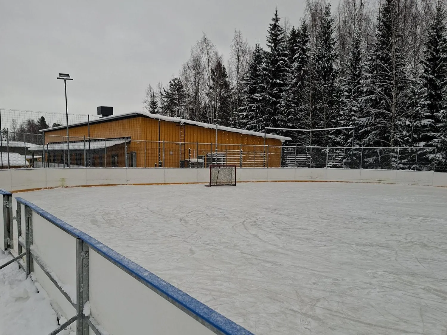 The boarded rink at Kaislastenlahti with scratched ice, a goal beyond the blue-topped boards, a yellow wooden building and snowy spruces behind. — Kaislastenlahden kaukalo