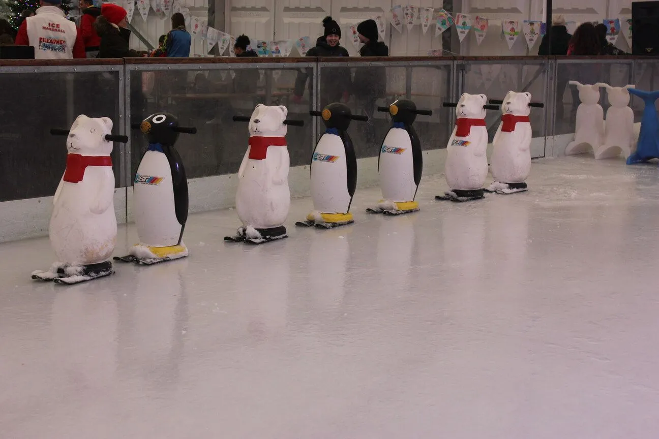 The ice of Killarney On Ice with a row of penguin and polar-bear skating aids along the boards; no skaters in the frame. — Killarney On Ice