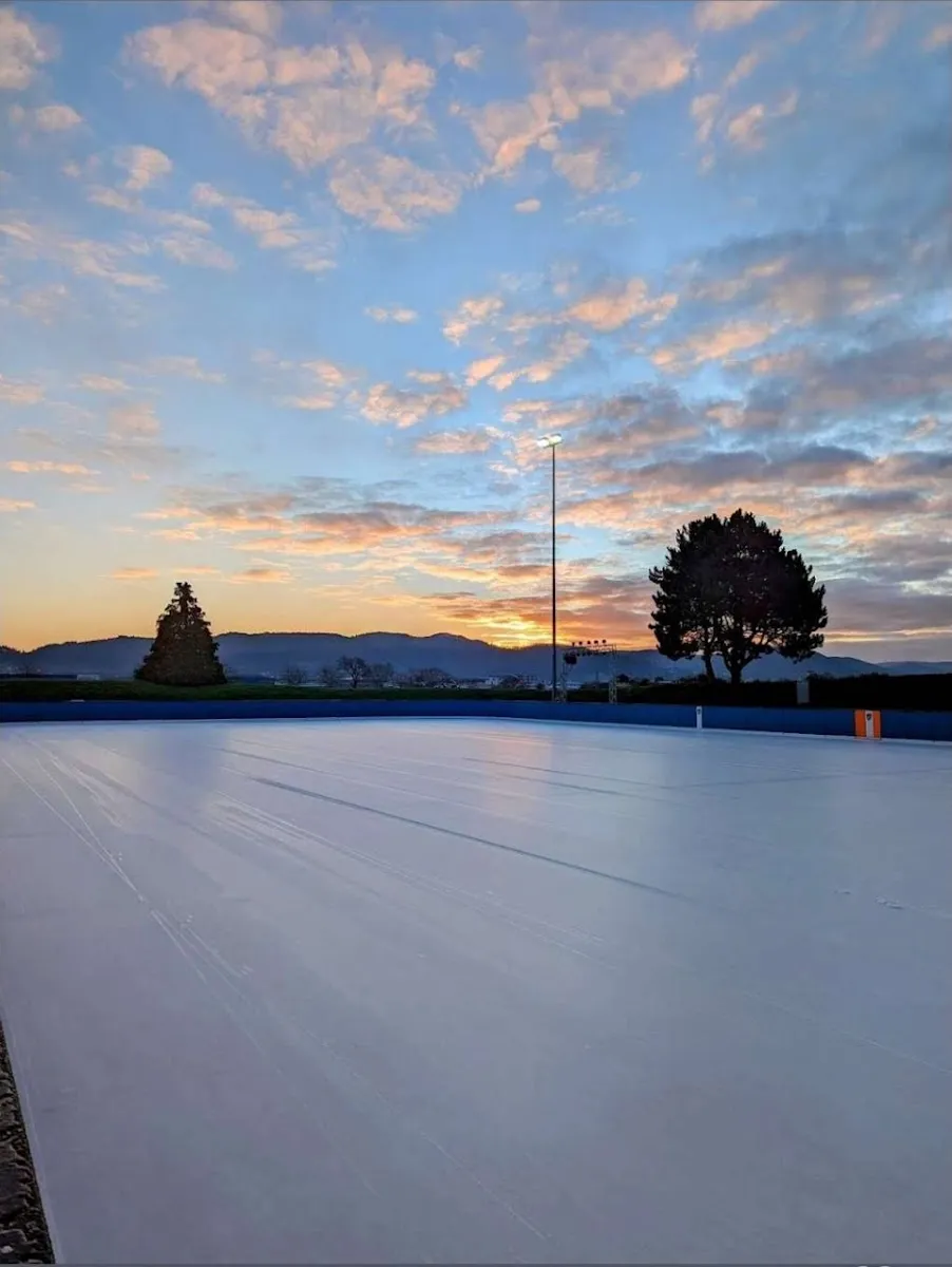 Die Freiluft-Eisfläche bei Sonnenuntergang, glatt und leer, mit einem Flutlichtmast und einem einzelnen Baum vor dem Abendhimmel hinter den Banden. – Kunsteisbahn Heddesheim
