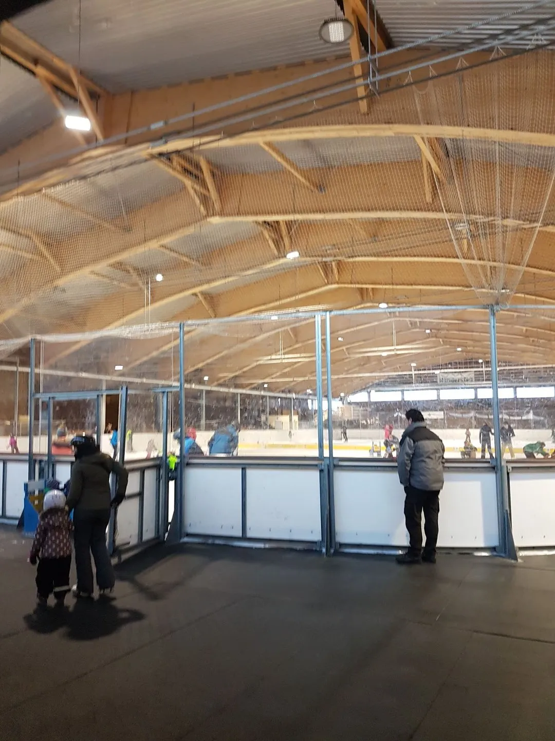 The covered ice at the Kunsteisbahn Kandersteg seen from the spectator side of the glass, under a curved laminated-timber roof, with visitors seen from behind. — Kunsteisbahn Kandersteg