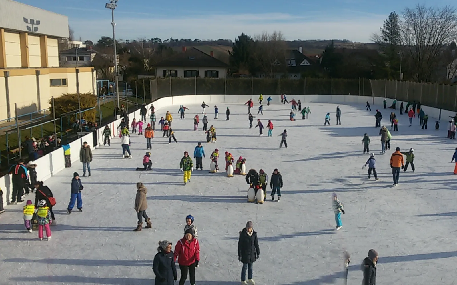 Wide view of the Wolkersdorf rink with public skaters spread across the white ice, the hall and floodlights beside it. — Kunsteisbahn Wolkersdorf