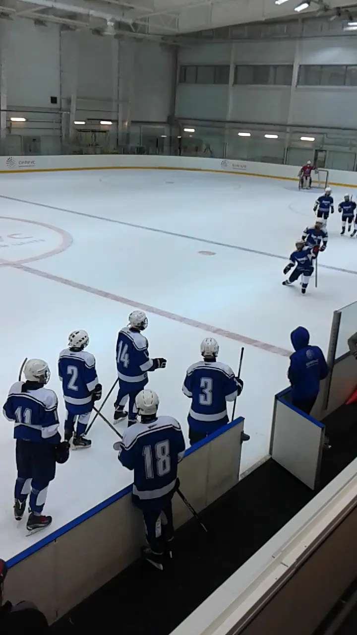 Youth hockey players at the boards of the Lyodinka ice during a game, with the rink and the arena wall behind them — Lyodinka Ice Arena Sirius