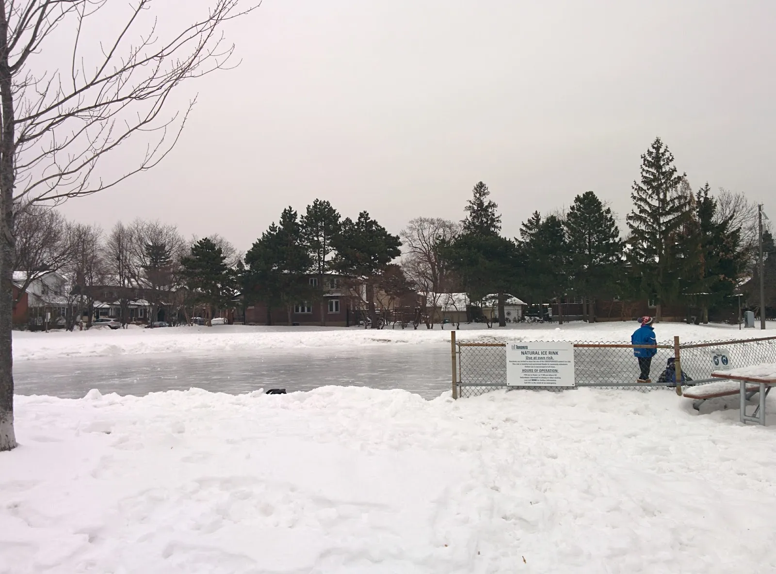 El hielo de Lessard Park Natural Ice Rink, en una foto de su ficha de Google Maps. — Lessard Park Natural Ice Rink