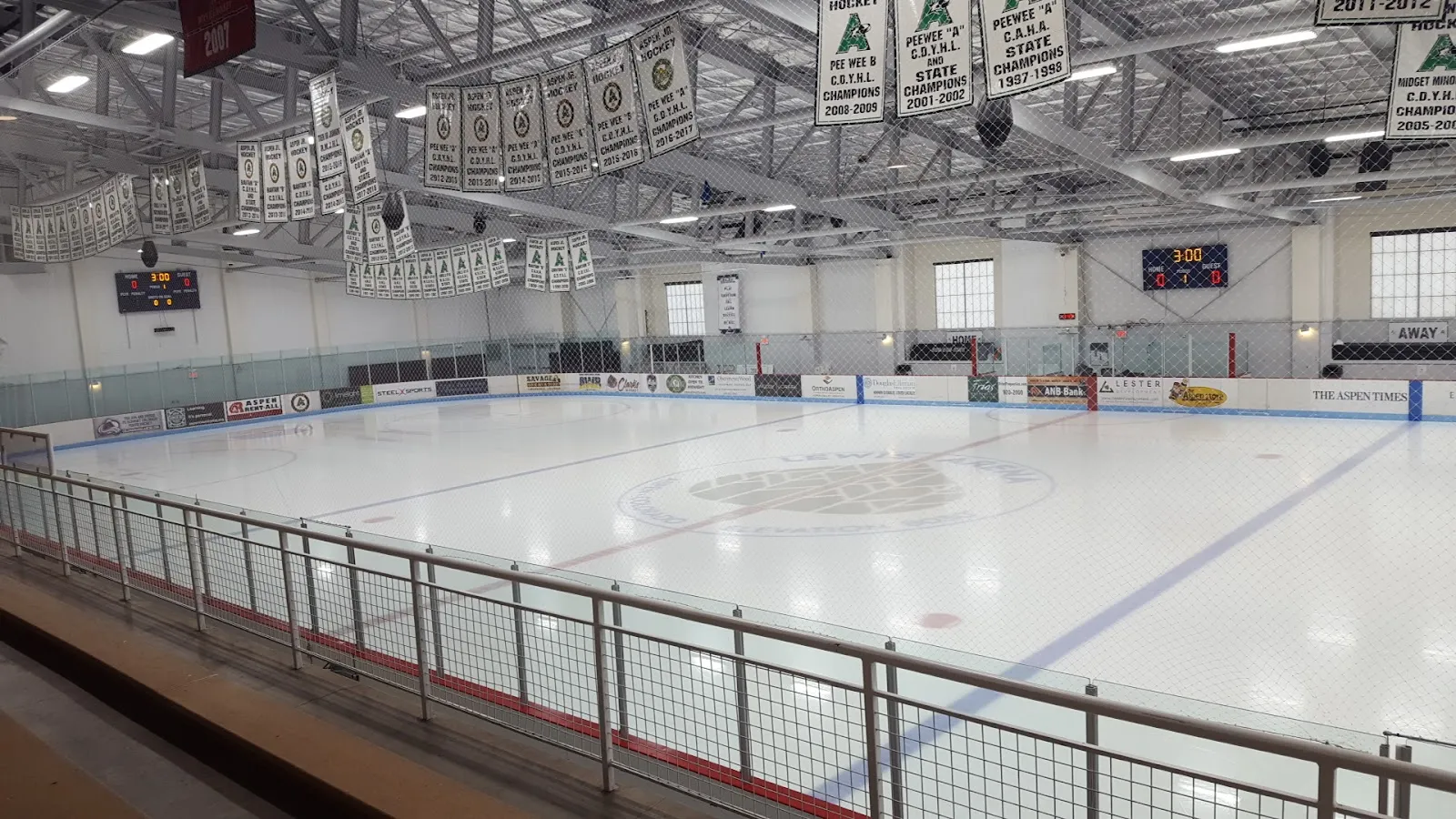 The empty NHL-size sheet under rows of championship banners, seen from the railing above the boards. — Lewis Ice Arena