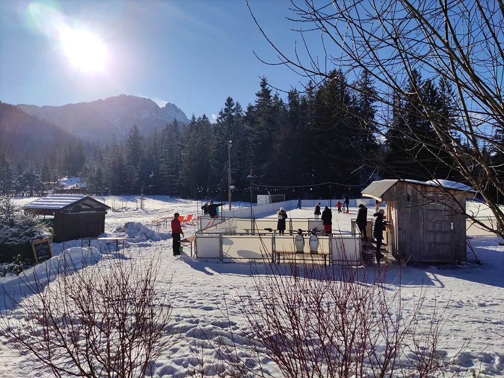 The Lodowisko Gugu rink and its meadow with the Tatra mountains behind — Lodowisko Gugu