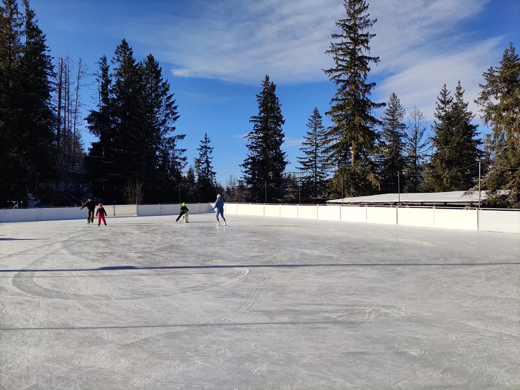 Skaters on the ice at Lodowisko Gugu in Zakopane under a winter sky — Lodowisko Gugu