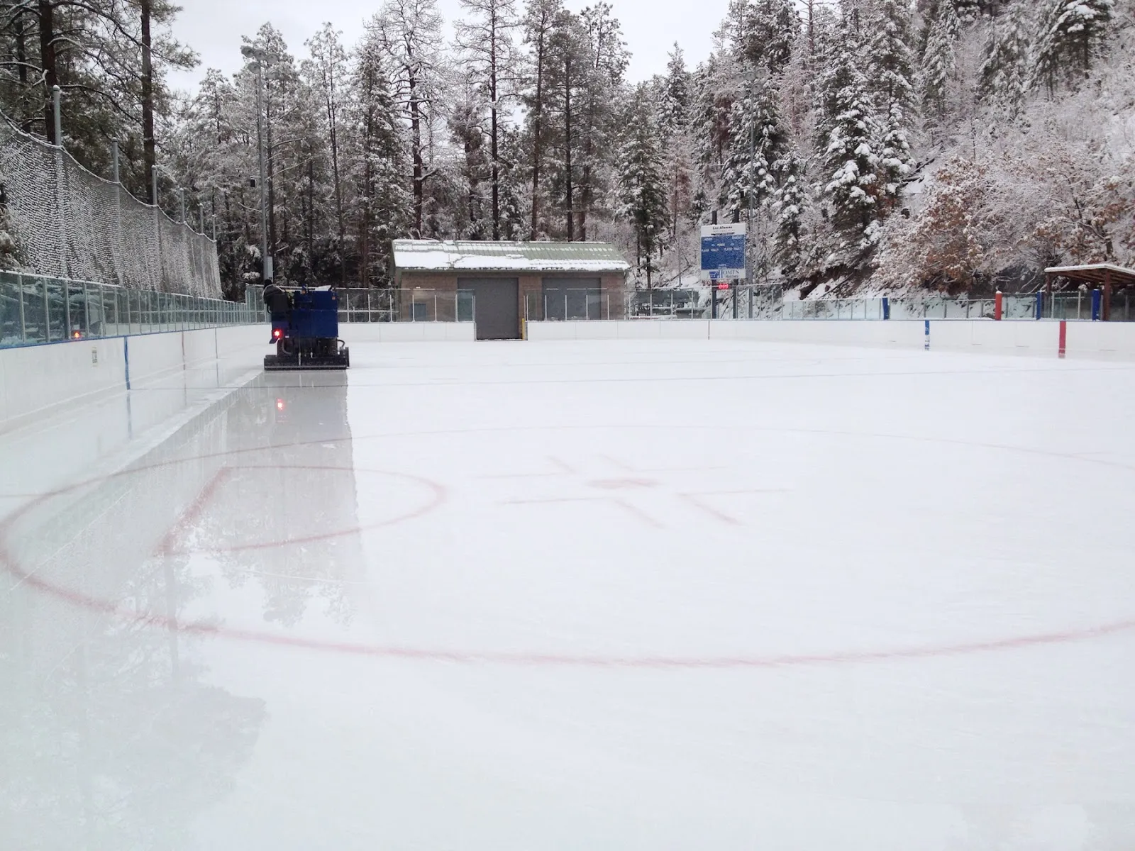The empty outdoor Los Alamos ice sheet edged by pine trees and snow-dusted boards. — Los Alamos County Ice Rink