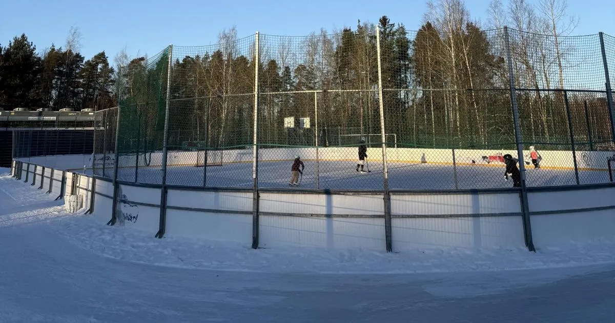 Martinlaakson liikuntapuiston tekojääkenttä Vantaalla iltapäivän talvivalossa: aidattu ja laidoitettu kenttä, kauempana muutama luistelevia lapsia ja taustalla koivumetsää. – Martinlaakson liikuntapuiston tekojääkenttä (Vantaa)