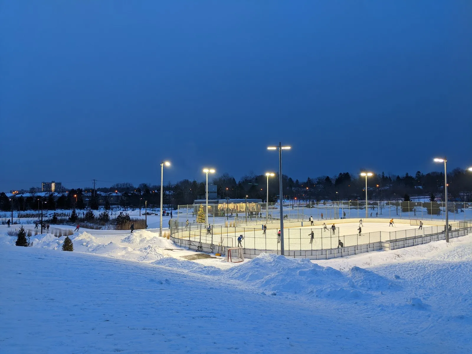 The ice at McCowan District Park Outdoor Ice Rink and Skate Trail, in a photo from its Google Maps listing. — McCowan District Park Outdoor Ice Rink and Skate Trail