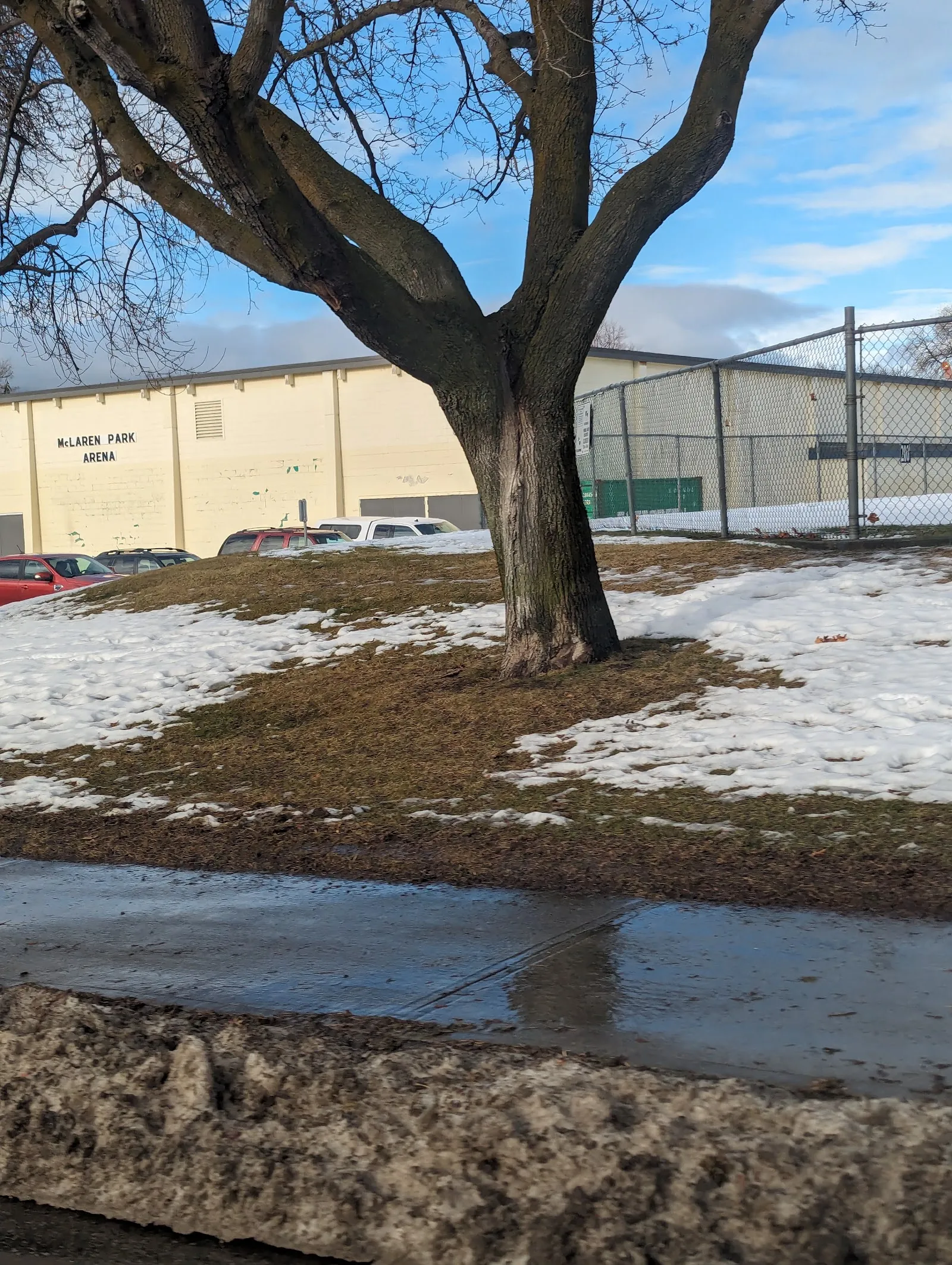 The cream-coloured McLaren Park Arena building with its name on the end wall, seen across a snowy bank under a tree. — McLaren Arena