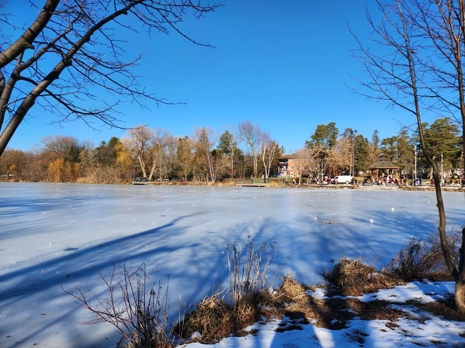 El hielo de Mill Pond Natural Ice Rink, en una foto de su ficha de Google Maps. — Mill Pond Natural Ice Rink