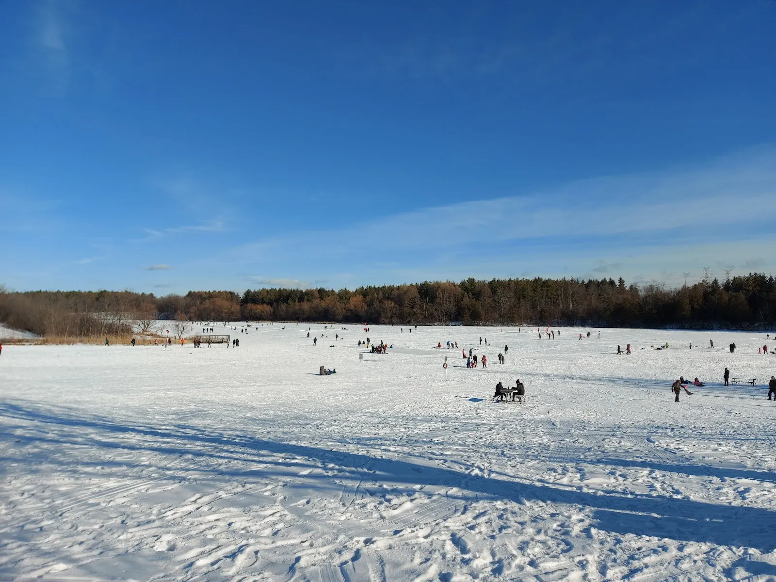 The ice at Milne Dam Outdoor Ice Rink, in a photo from its Google Maps listing. — Milne Dam Outdoor Ice Rink