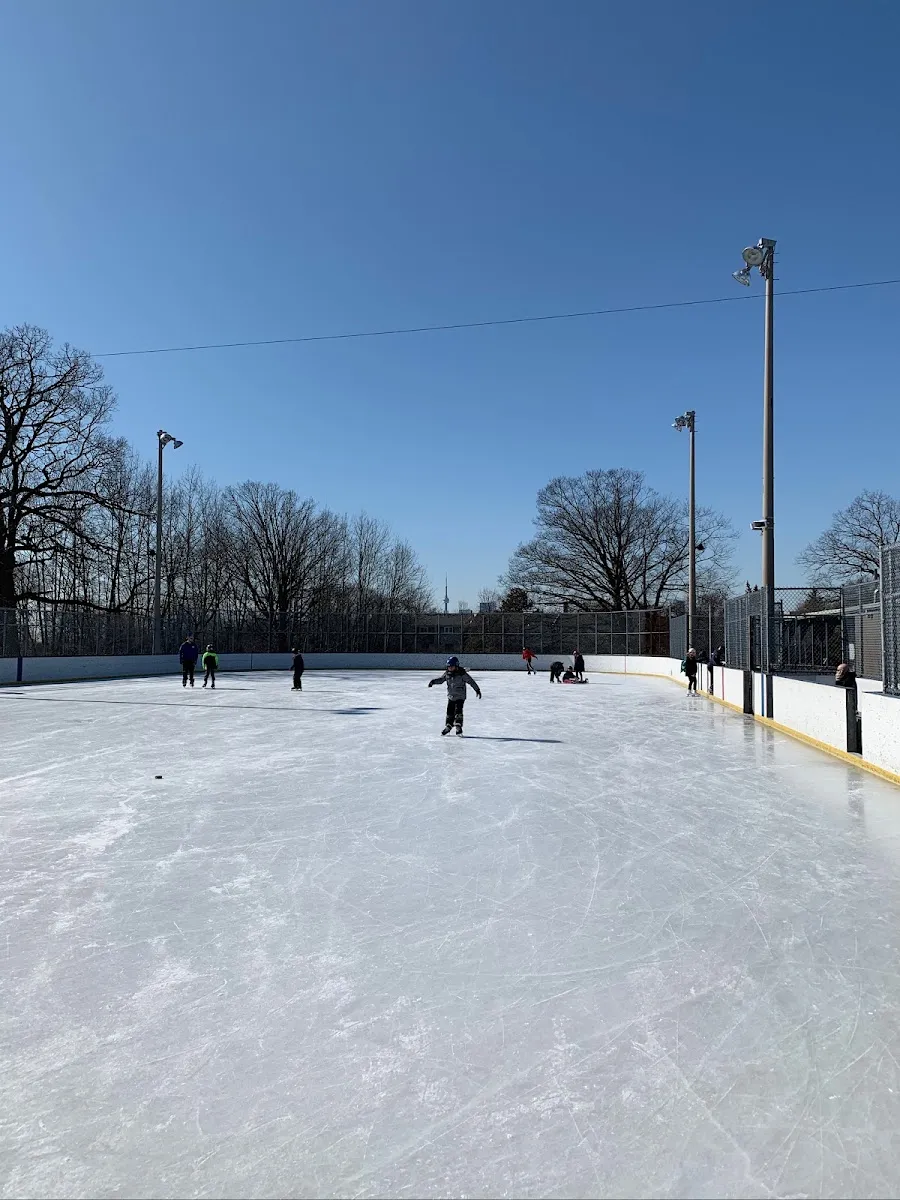 La pista de Monarch Park, con bardas y reflectores, en un día despejado de invierno, con algunos patinadores repartidos por el hielo y árboles sin hojas al fondo — Monarch Park Outdoor Ice Rink
