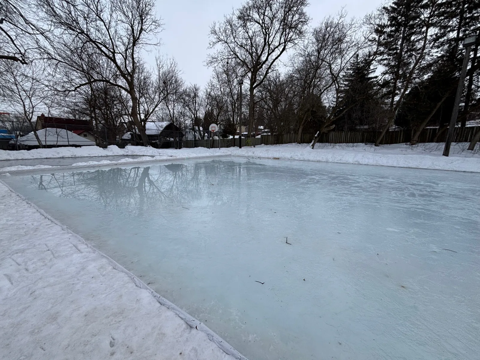 La superficie de hielo natural helada de la pista exterior del Mount Albert Community Centre, rodeada de árboles sin hojas y bancos de nieve. — Mount Albert Community Centre Outdoor Rink (East Gwillimbury)