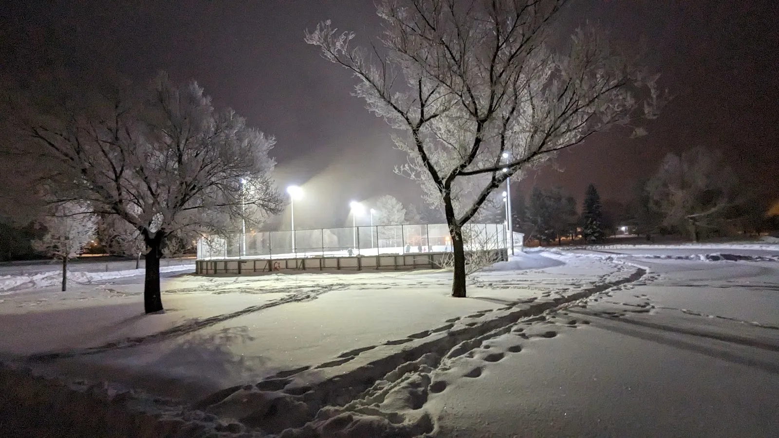La pista iluminada con vallas de Mowat Park, en Fort Saskatchewan, en una noche nevada, vista a través del parque con árboles escarchados al frente — Mowat Outdoor Rink