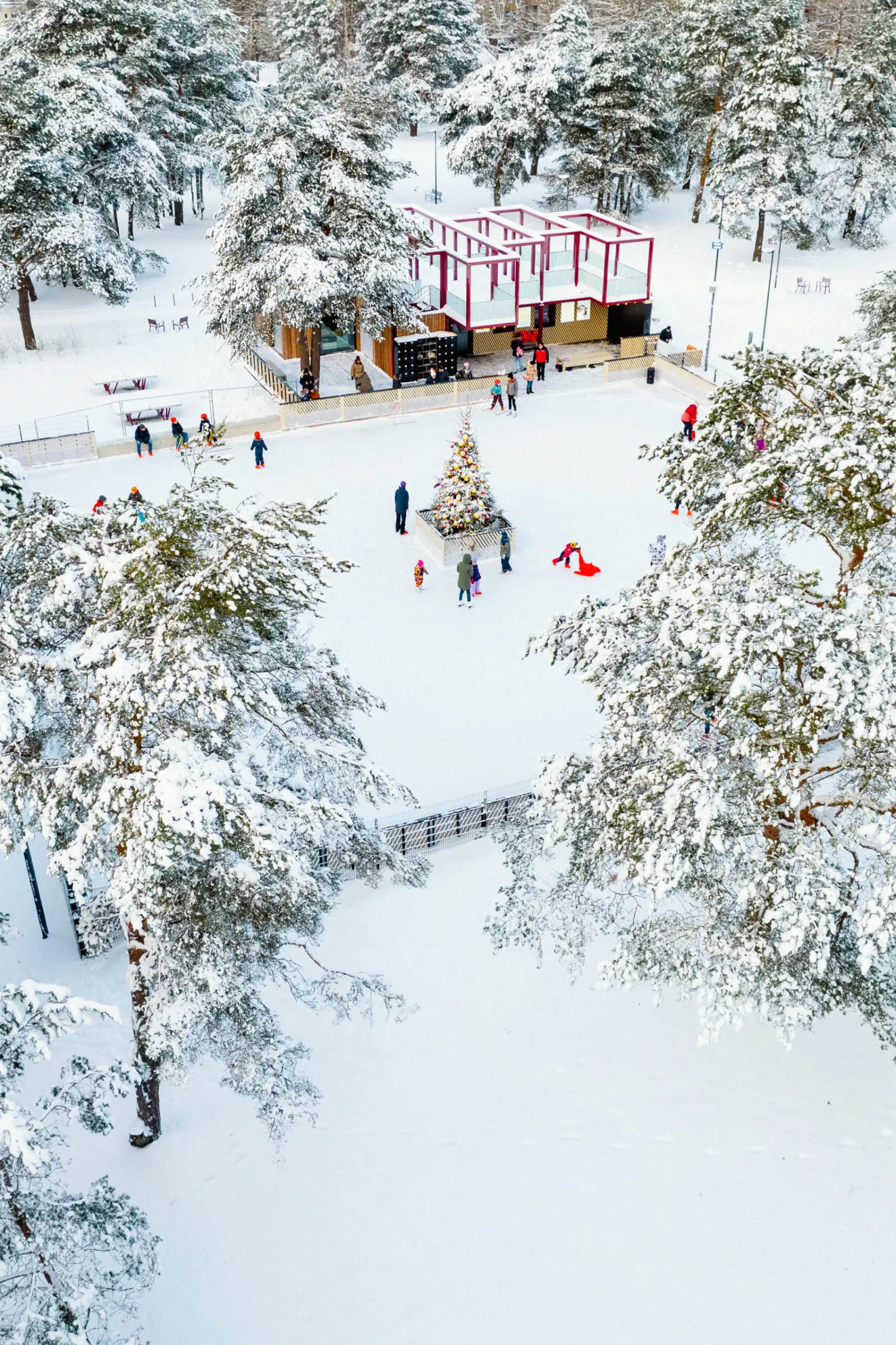 A winter view from above of the Mustamäe outdoor rink in the pine park, with the snow-covered ice, a small pavilion and the park paths around it. — Mustamäe uisupark