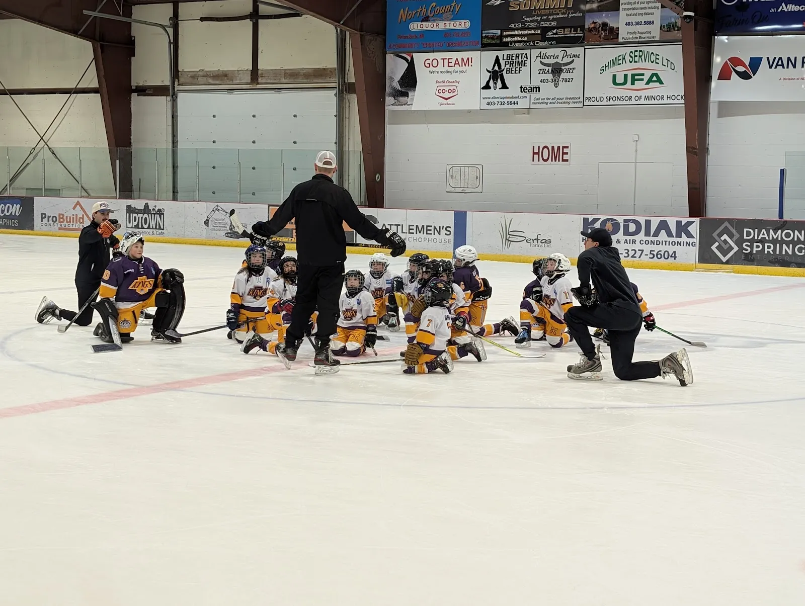 Young hockey players practising on the ice at the North County Recreation Complex — North County Recreation Complex