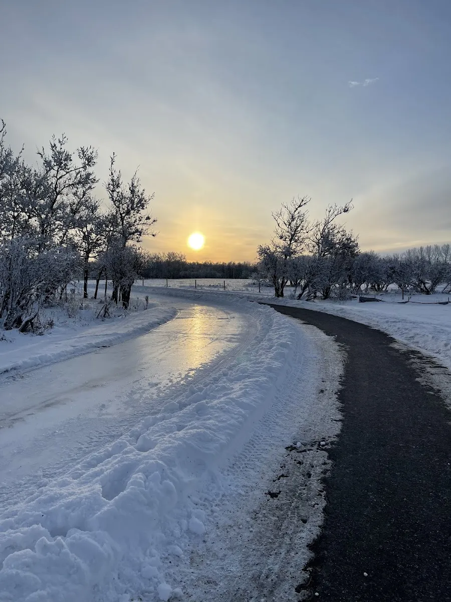 El hielo inundado del sendero de patinaje que serpentea junto al camino pavimentado entre árboles escarchados al atardecer. — Northeast Regional Park Snowbank Rink (Airdrie)