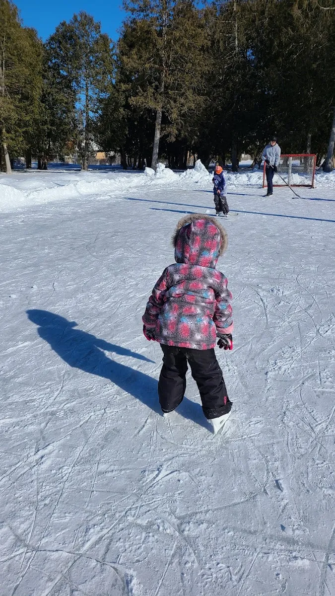 A small child in a snowsuit skating on the Northlin Park community rink in Lindsay, seen from behind, with a hockey net and tall evergreens beyond — Northlin Park Outdoor Rink