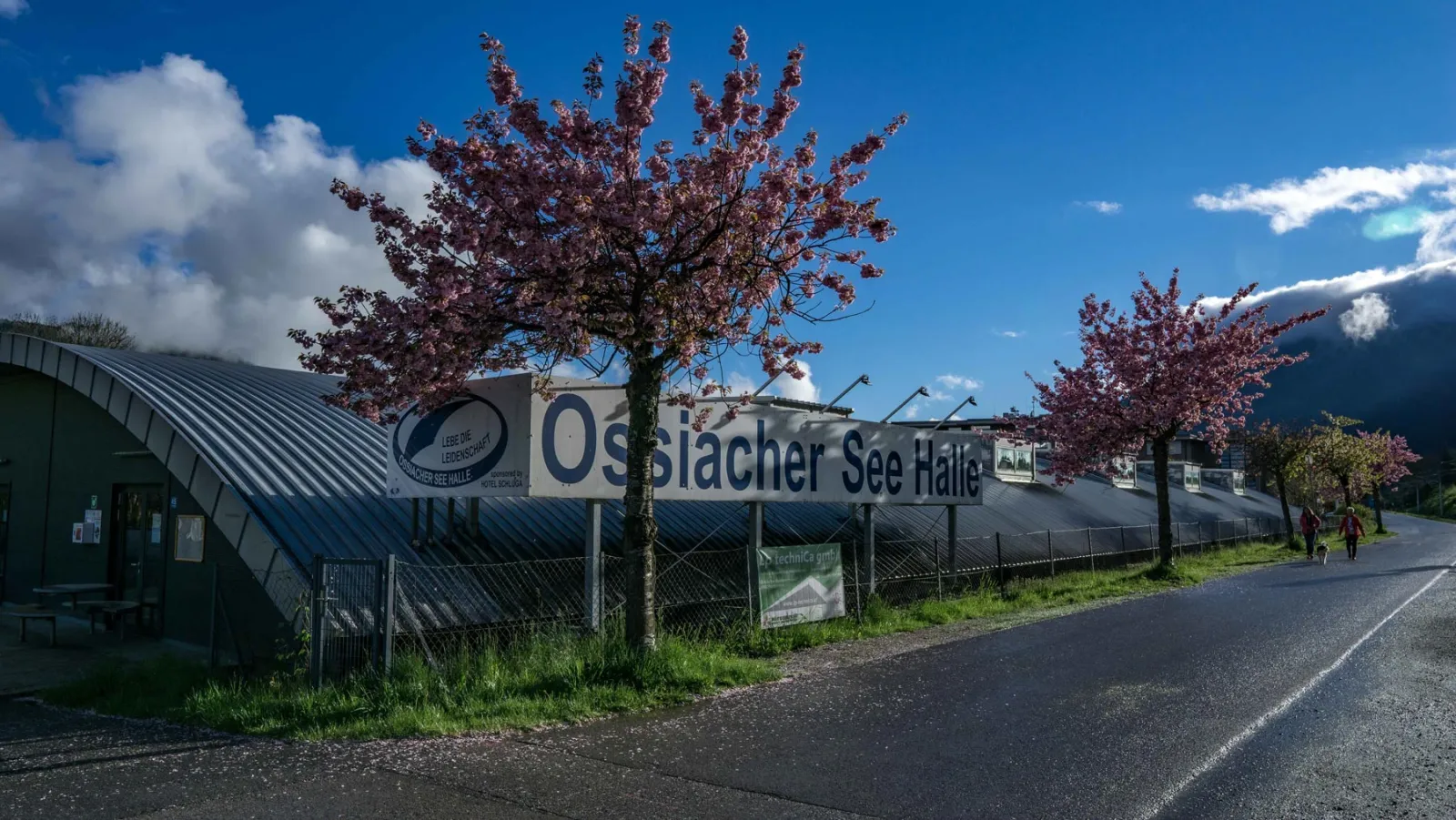 The long arched roof of the hall behind a fence and the Ossiacher See Halle sign, with two flowering cherry trees and mountains beyond. — Ossiacher See Halle