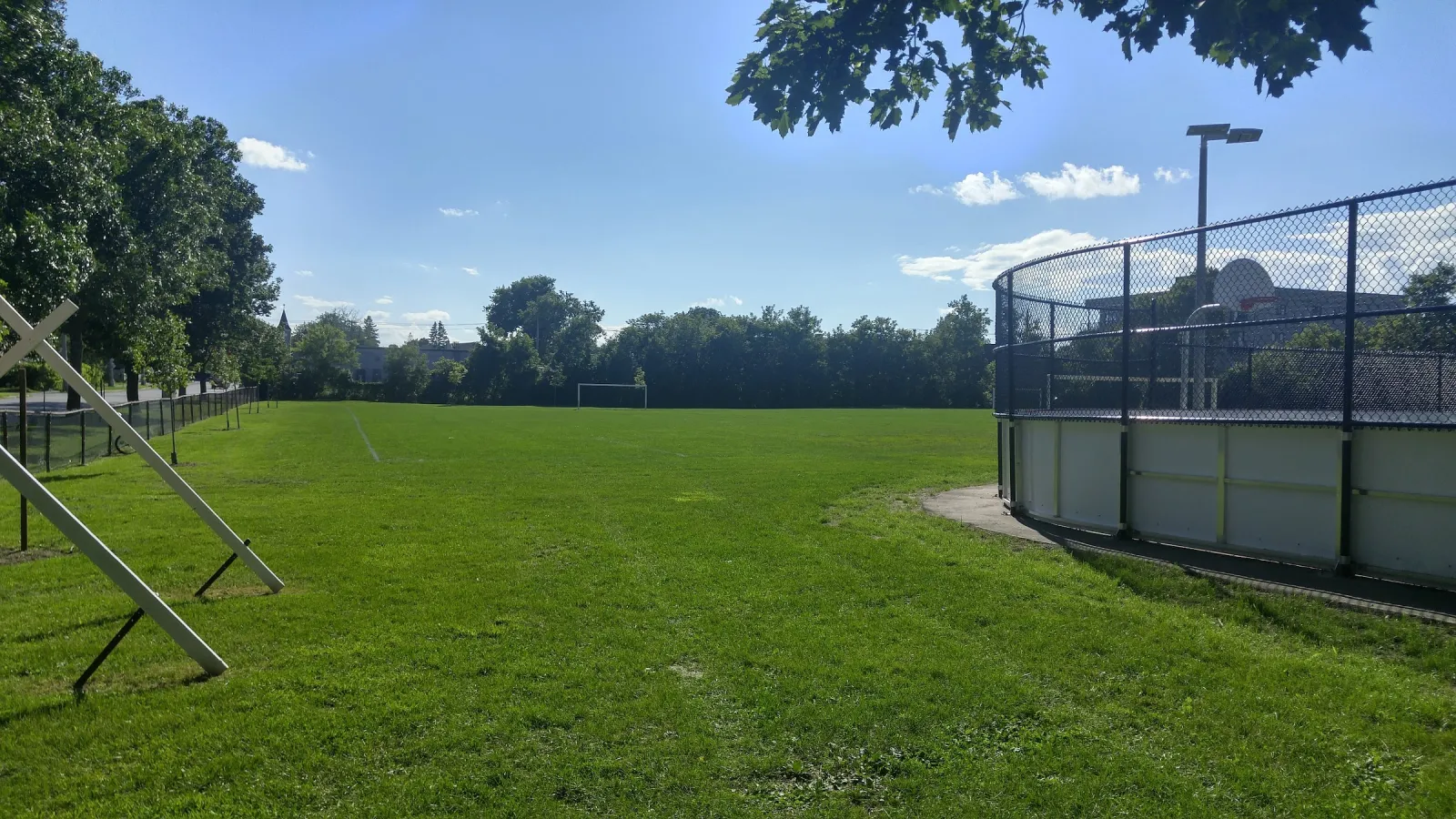 Alexander Park in summer, with the fenced, white-boarded rink enclosure beside a wide playing field. — Alexander Park Outdoor Rink