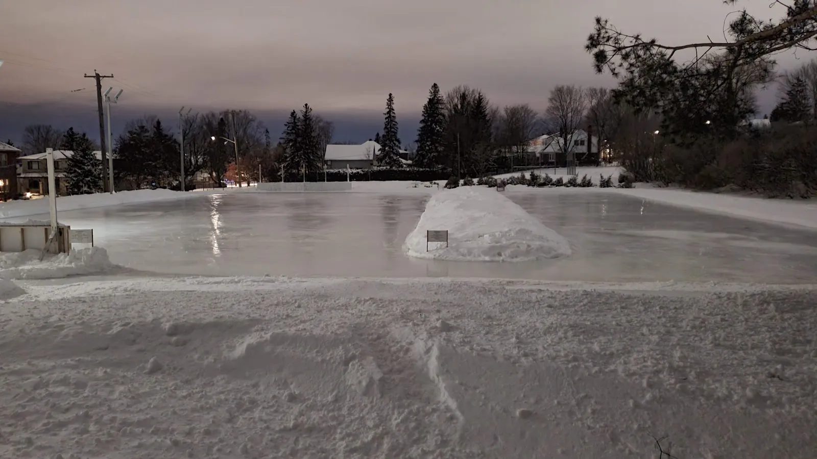 The outdoor rink at Alta Vista Park at dusk, a smooth sheet of ice with a snow bank in the middle, houses and trees beyond — Alta Vista Park Outdoor Rink