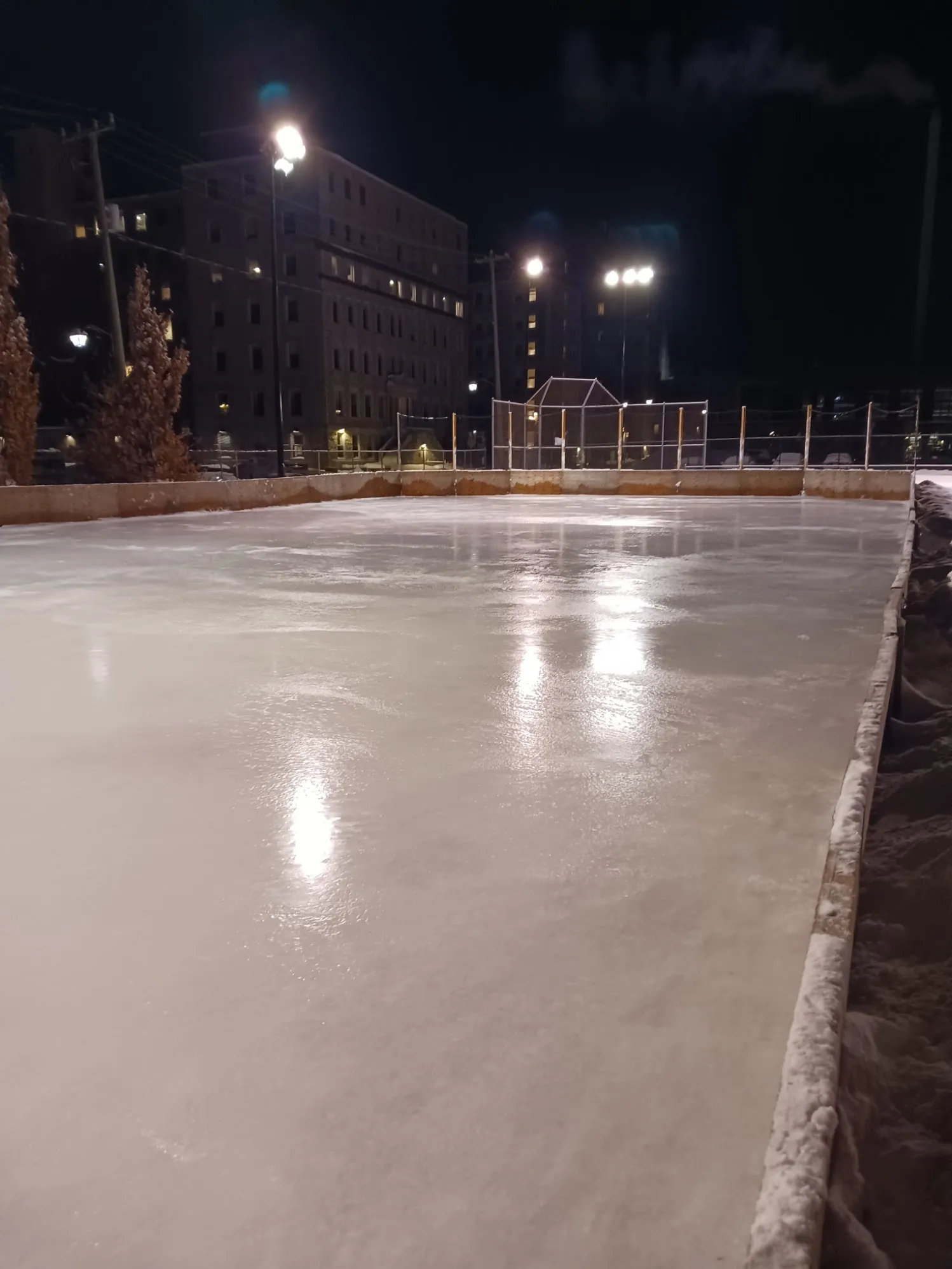 The park's boarded outdoor rink at night, freshly flooded and glossy under the floodlights, with apartment buildings beyond the fence. — Bingham Park Outdoor Rink