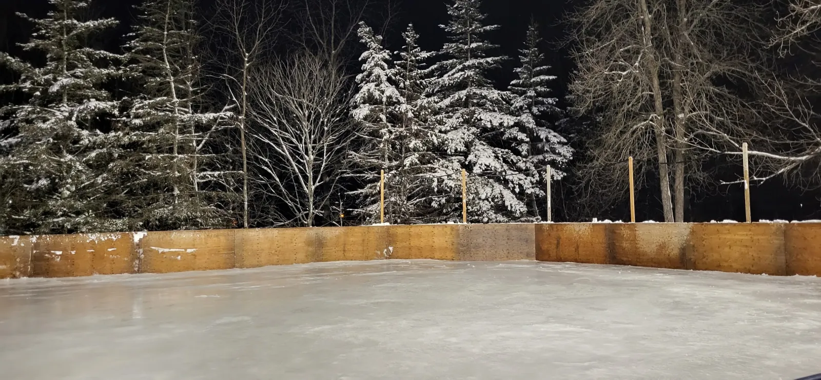 The George McLean Park outdoor rink at night, its smooth ice lit up inside wooden boards with snow-laden evergreens behind. — George McLean Park Outdoor Rink