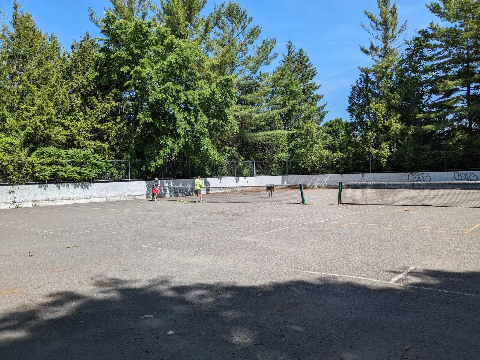 Klondike Road Park en verano: una cancha pavimentada rodeada de vallas bajas, con pinos altos y árboles detrás. — Klondike Road Park Outdoor Rink