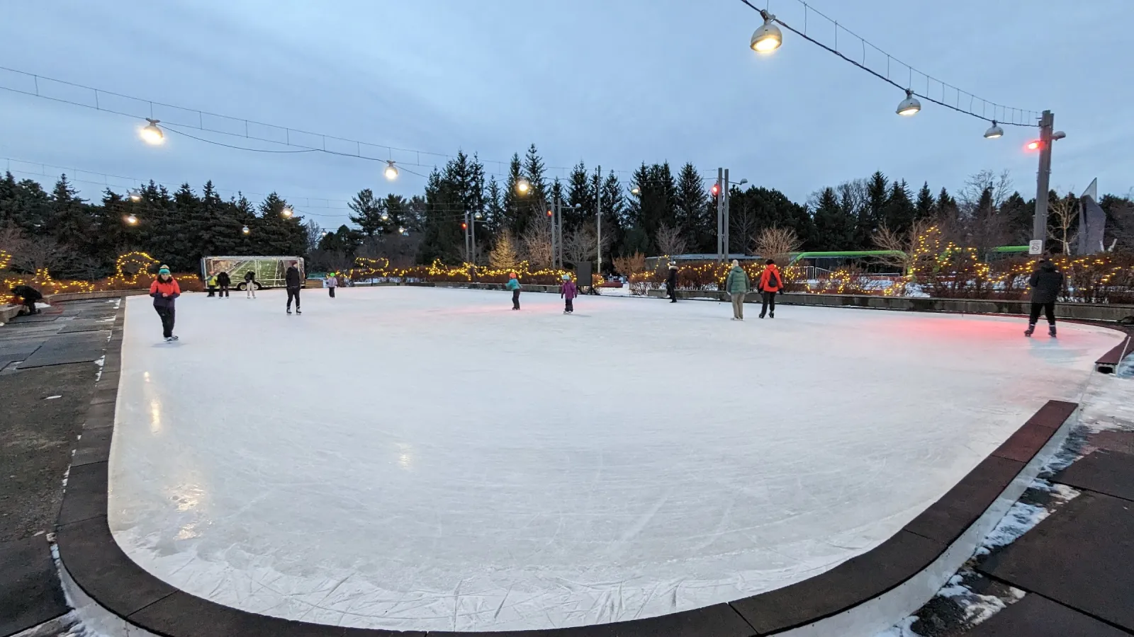 La pista al aire libre al atardecer bajo guirnaldas de luces, con patinadores repartidos por el hielo y árboles iluminados más allá de las vallas. — Lansdowne Park Outdoor Rink