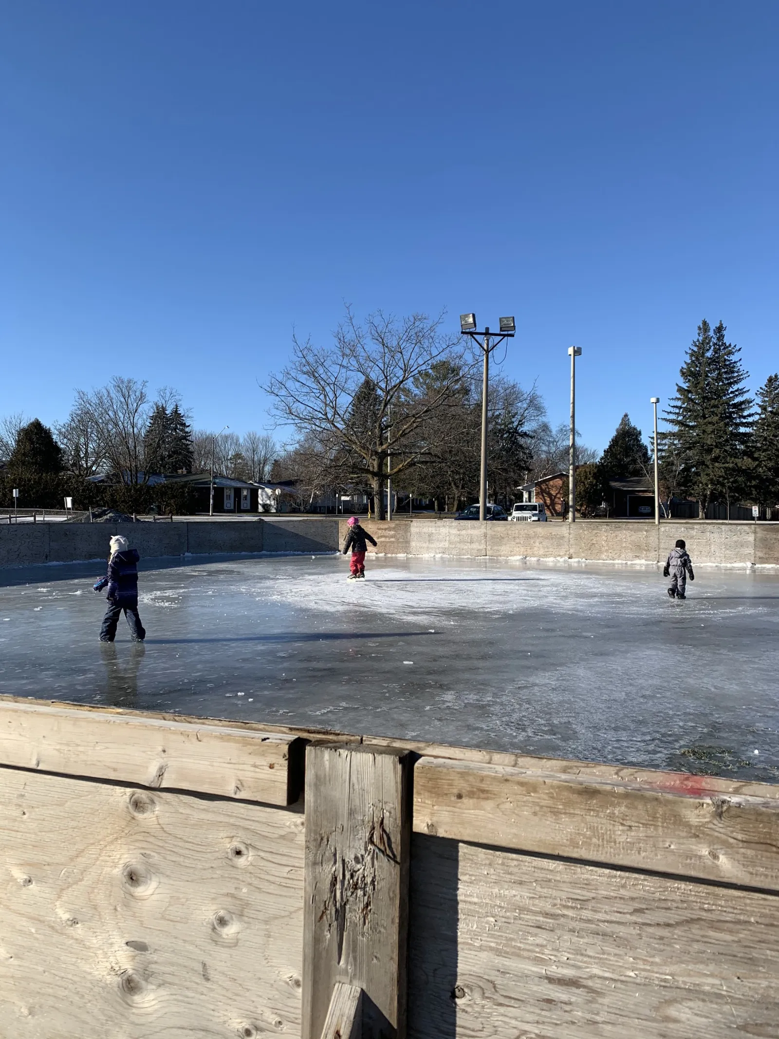 La pista al aire libre de Larkin Park en un día despejado de invierno, vista por encima de sus vallas de madera: algunos patinadores en el hielo, con postes de luz y árboles sin hojas alrededor de la pista. — Larkin Park Outdoor Rink