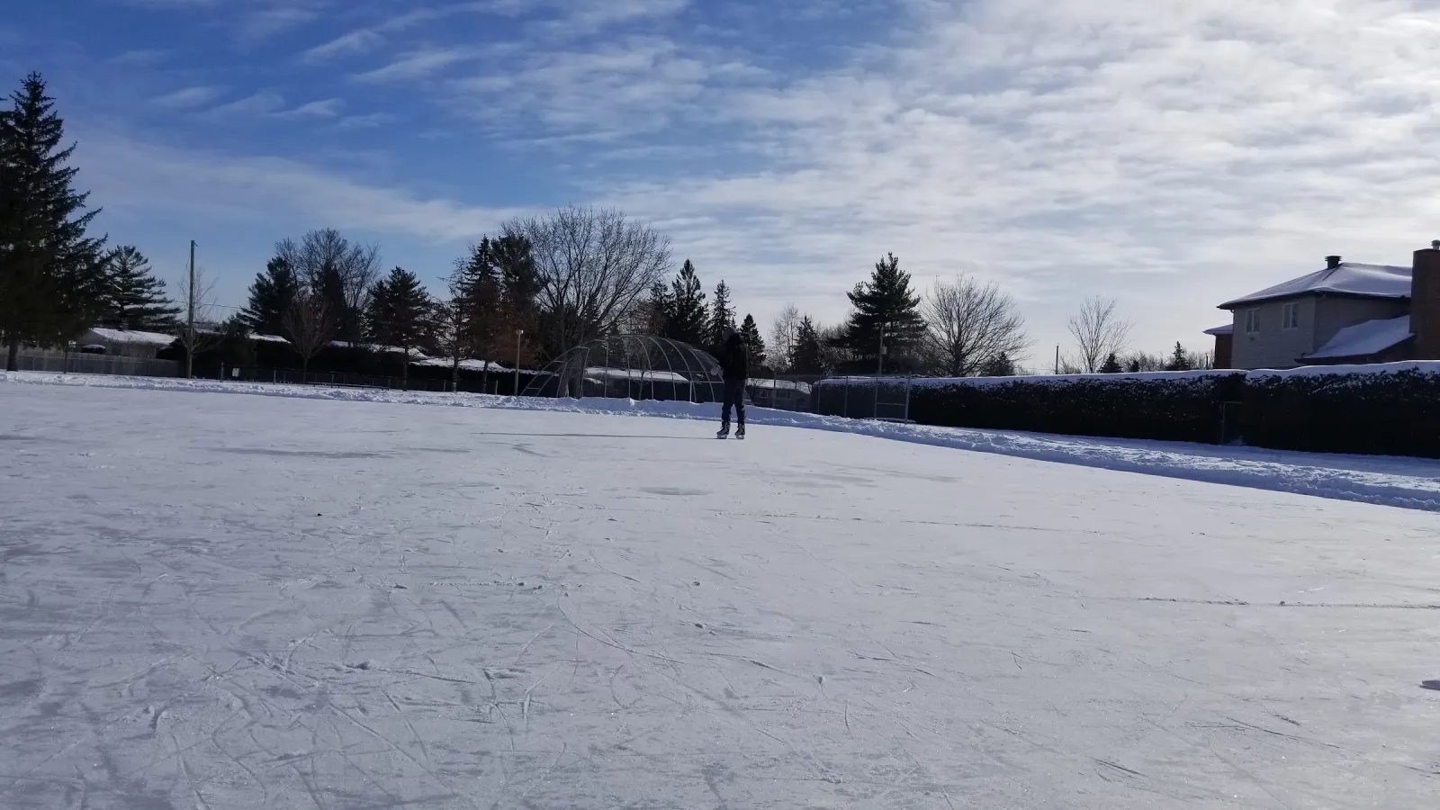 La superficie de patinaje de Maki Park en un luminoso día de invierno, con el hielo rayado por los patines, un patinador a lo lejos y casas y pinos más allá. — Maki Park Outdoor Rink