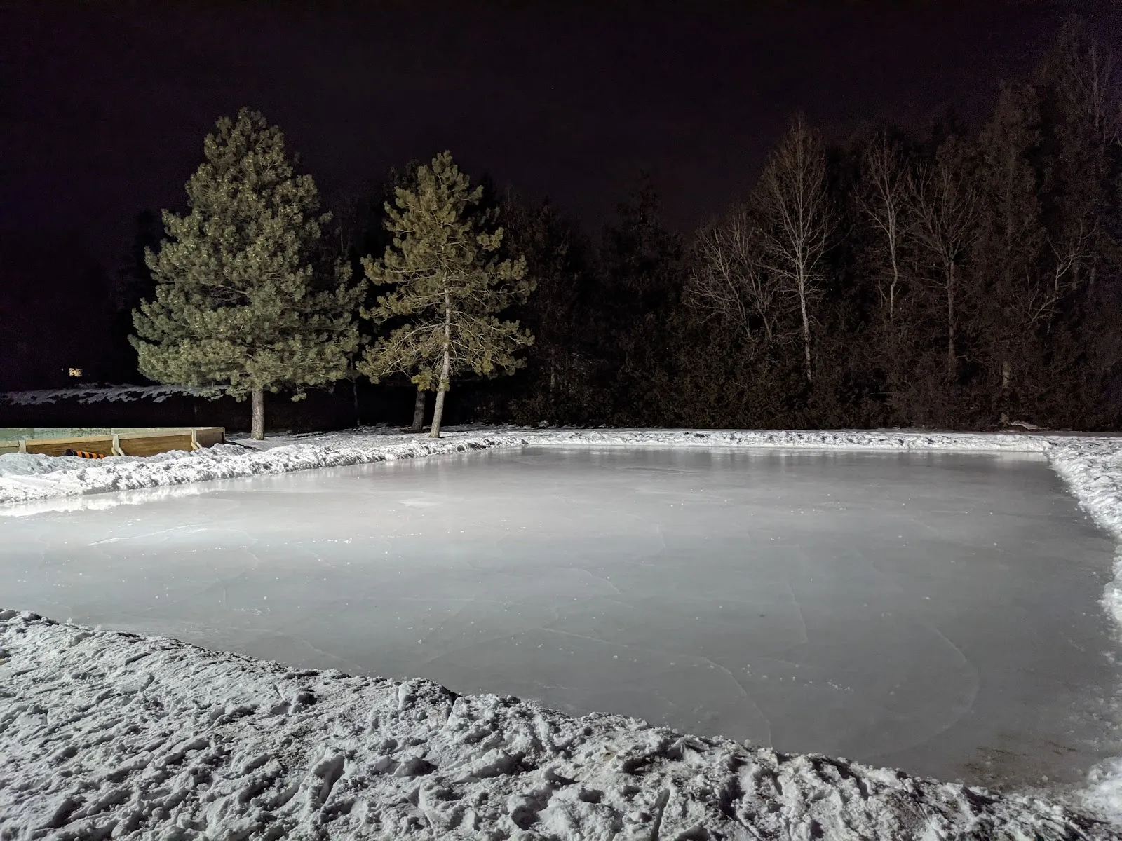 Fresh ice on the Mary Durling Park rink at night, edged with packed snow banks and lined by pine and birch trees — Mary Durling Park Outdoor Rink