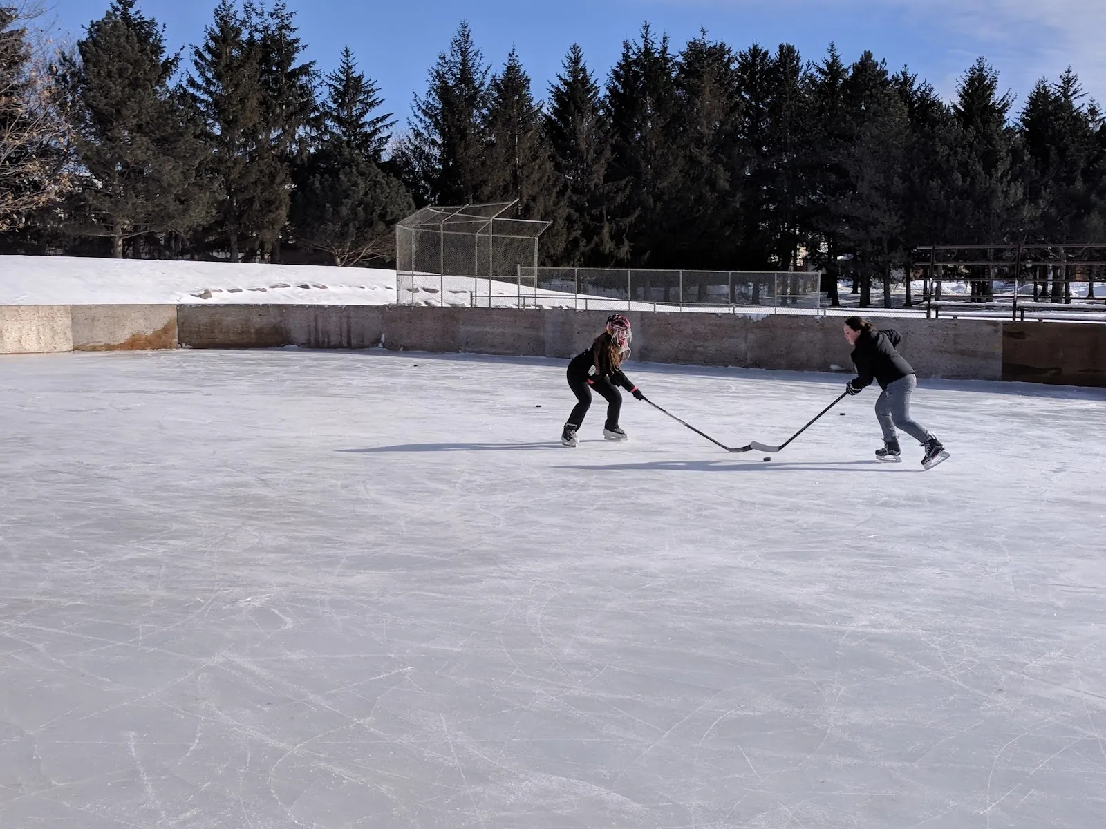 The Moloughney Park rink in winter, two players on a wide sheet of grey ice below a line of dark pines with snow banks along the edge. — Moloughney Park Outdoor Rink