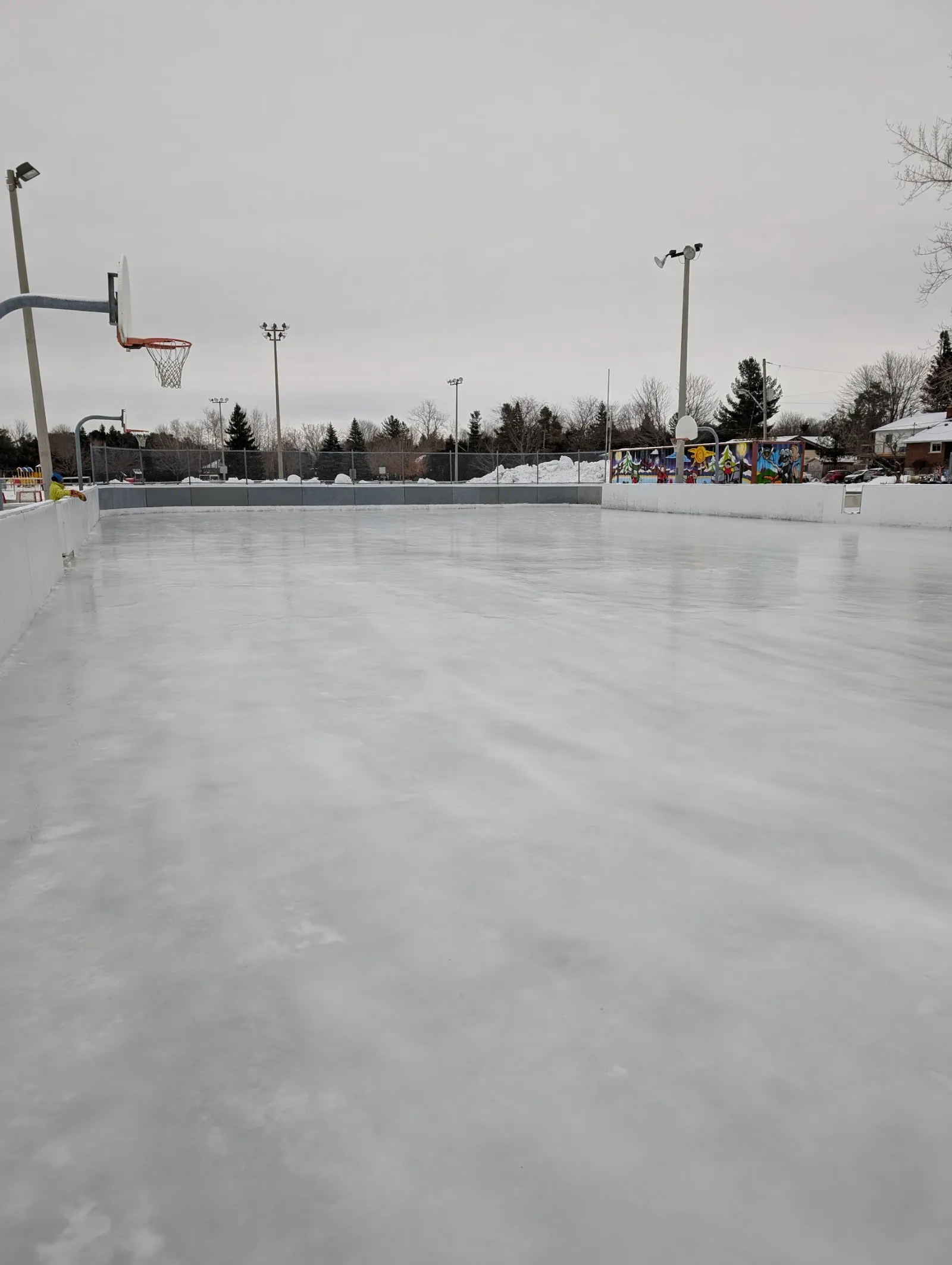 La pista al aire libre de Osgoode en un día gris de invierno: una larga superficie de hielo recién hecho dentro de vallas blancas y bajas, con postes de luz y una canasta de basquetbol al fondo. — Osgoode Community Centre Outdoor Rink