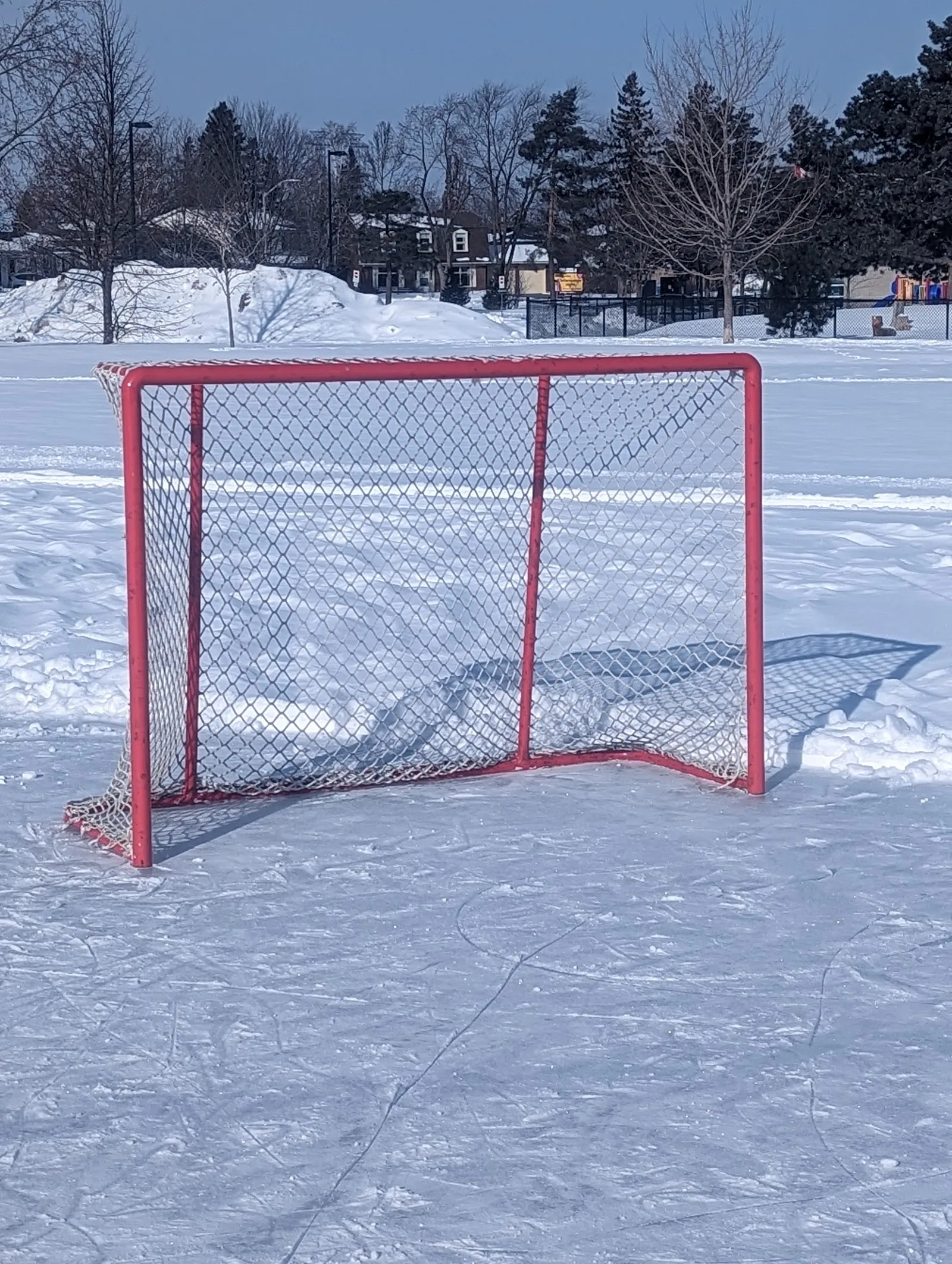 A hockey goal standing on the snow-dusted ice of the outdoor rink at Pushman Park in winter, with trees and park buildings in the background — R. George Pushman Park Outdoor Rink