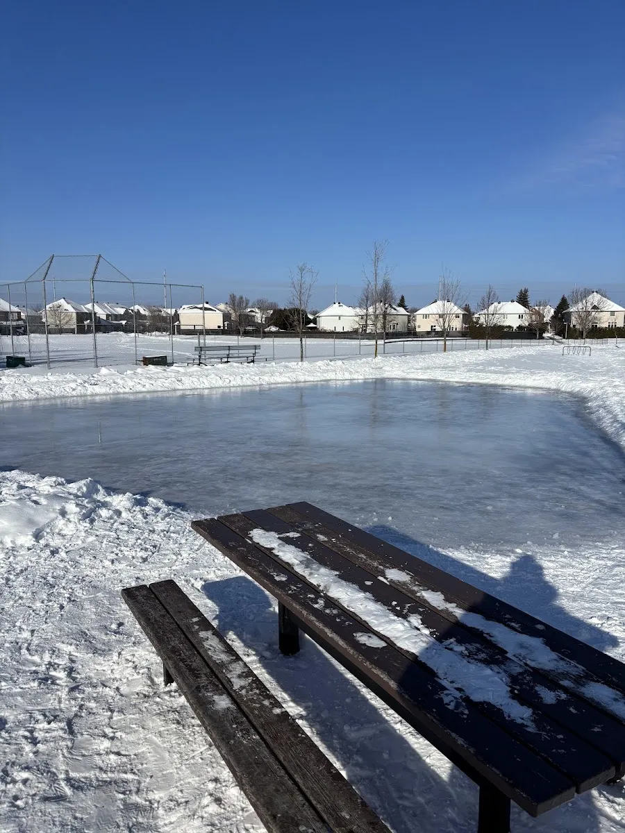 Scala Park en invierno, una mesa de picnic nevada junto a la pista inundada, con la malla del campo de beisbol y casas detrás. — Scala Park Outdoor Rink