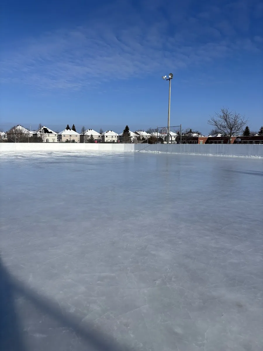La pista de Scala Park en un despejado día de invierno, con hielo liso dentro de vallas blancas, un poste de luz y casas más allá. — Scala Park Outdoor Rink