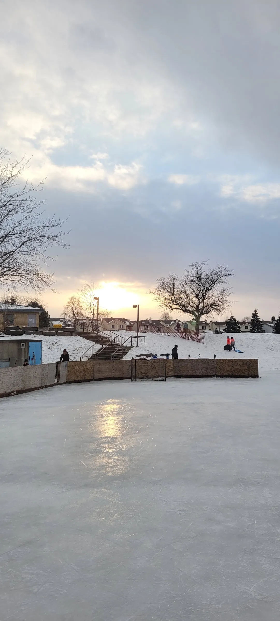 La pista al aire libre de Westcliffe Park al atardecer, con su hielo brillante dentro de vallas bajas de madera y algunos patinadores en el extremo lejano. — Westcliffe Park Outdoor Rink