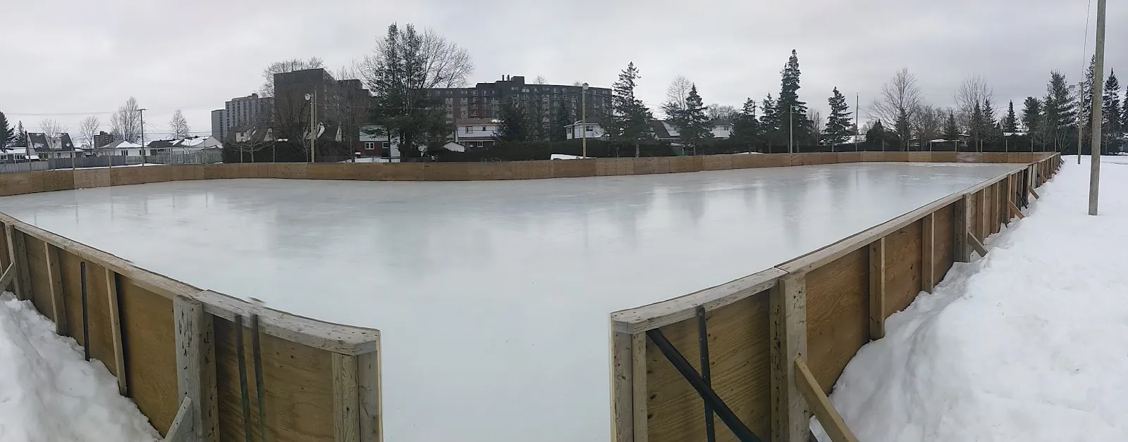 The flooded outdoor rink at Weston Park in winter, a wide sheet of clear ice inside new wooden boards with apartment buildings and trees beyond — Weston Park Outdoor Rink