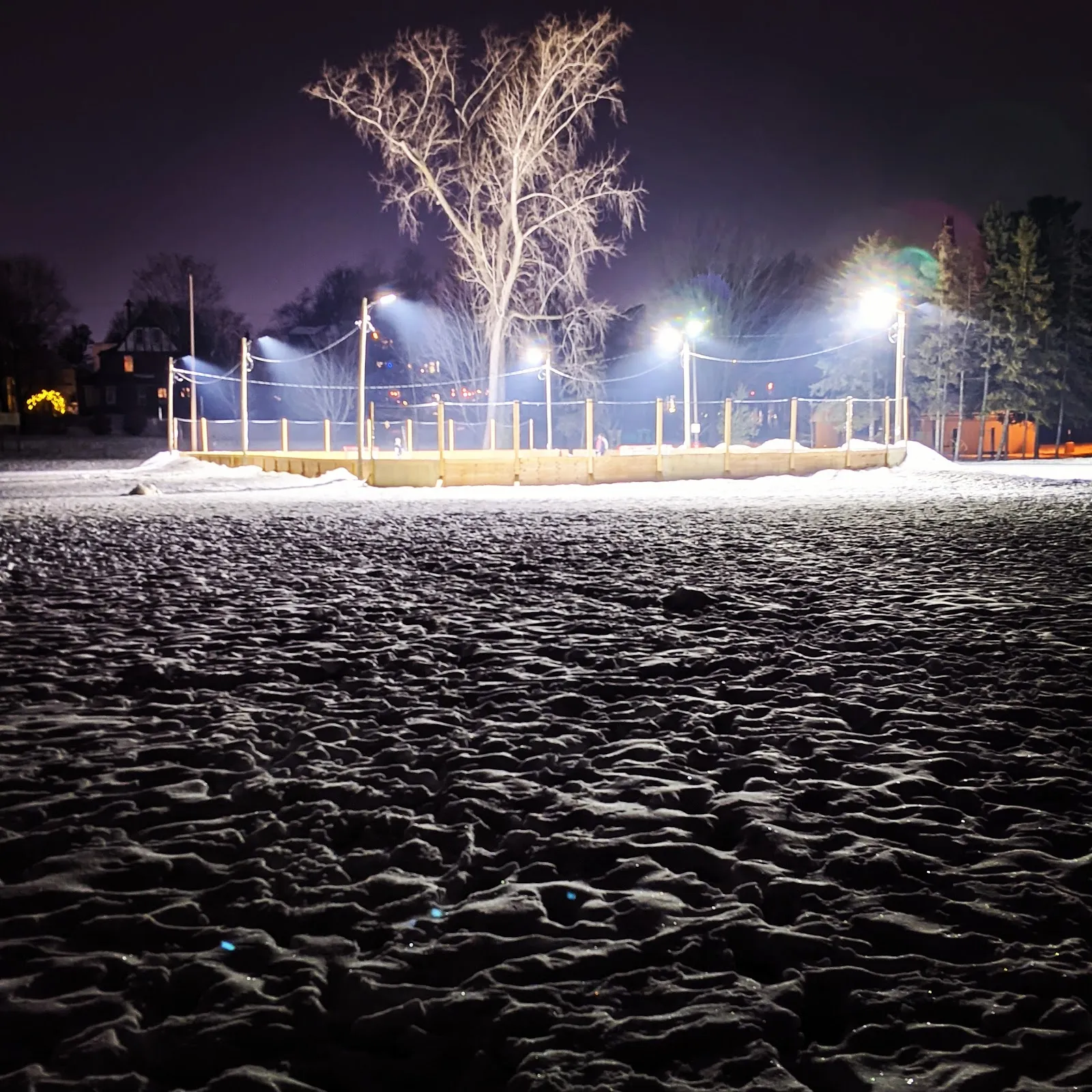 The outdoor rink at Windsor Park at night, floodlit with bright lamps along the wooden boards and a bare tree behind, snow-textured ice in the foreground — Windsor Park Ottawa Outdoor Rink