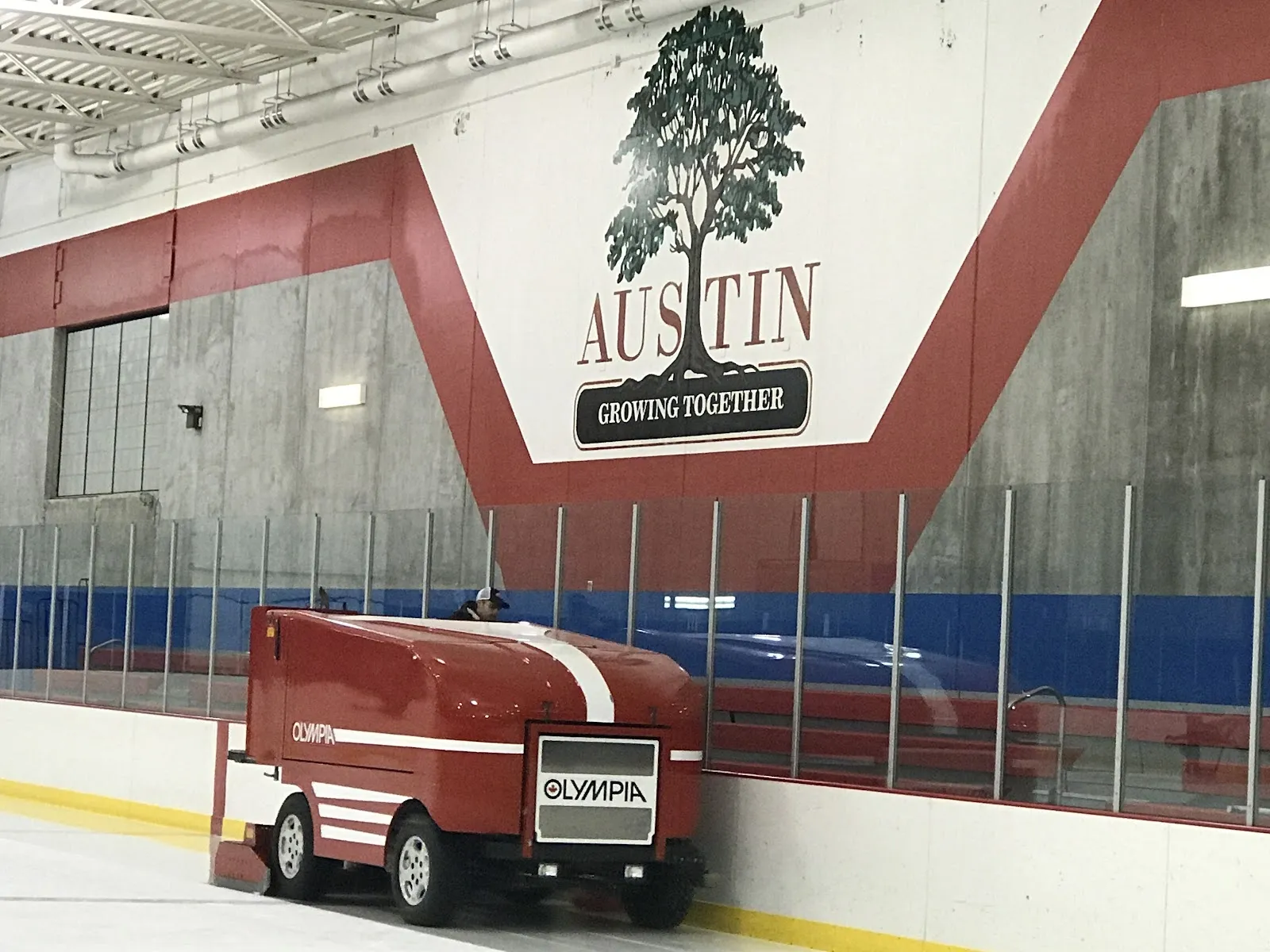 La superficie de hielo del Packer Arena con la pulidora de hielo estacionada junto a las vallas, bajo un mural pintado de un árbol de Austin en la pared gris, con molduras rojas y azules y las vallas en primer plano. — Packer Arena