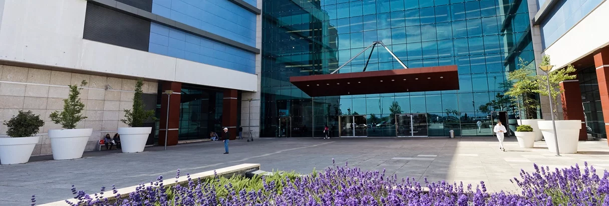 The glass entrance of the Palácio do Gelo Shopping in Viseu, with planters and lavender in front — Pista de Gelo, Palácio do Gelo Shopping