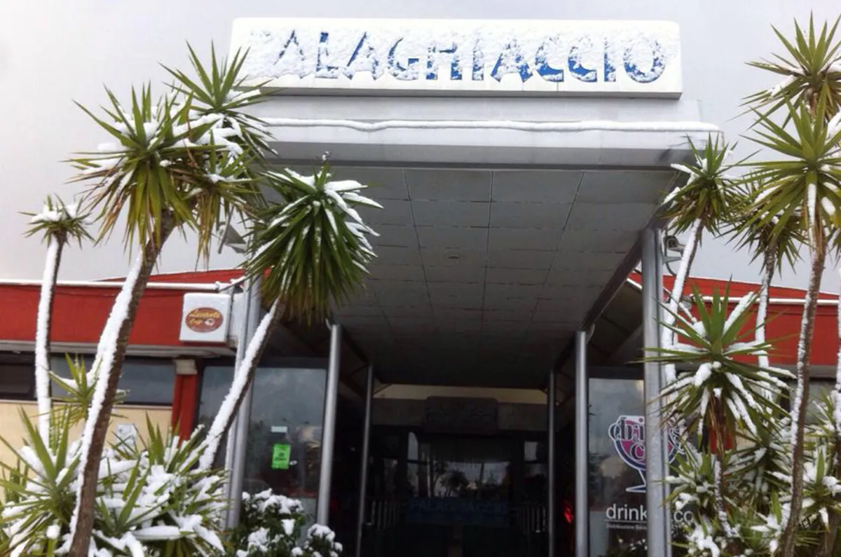 The covered entrance of the Palaghiaccio under its rooftop sign, with palm trees dusted with snow. — Palaghiaccio Di Palma