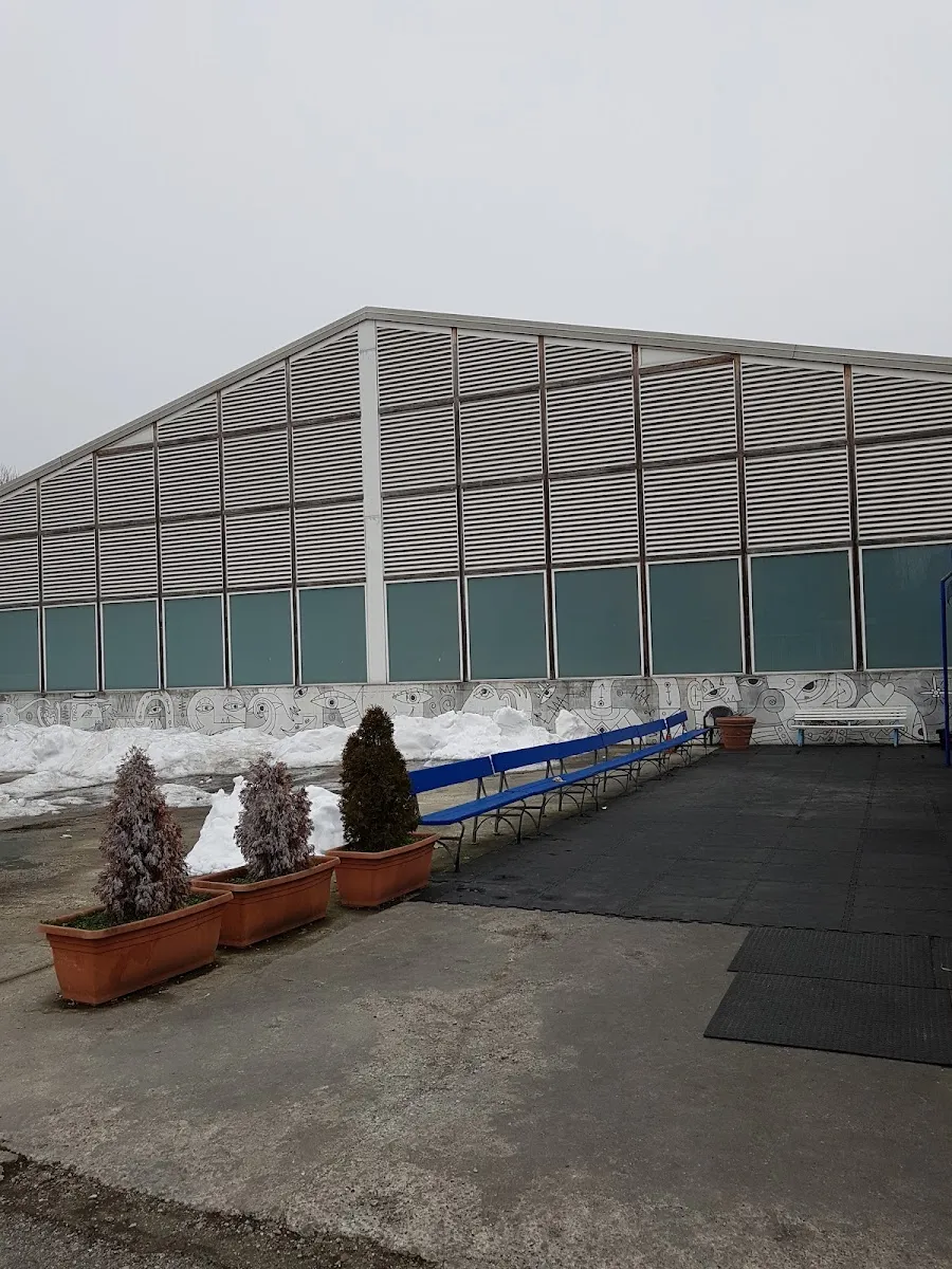 La facciata laterale a lamelle del palaghiaccio del centro sportivo Massari in inverno, con il piazzale pavimentato, una ringhiera blu e arbusti in vaso davanti. – Palaghiaccio Massari Torino